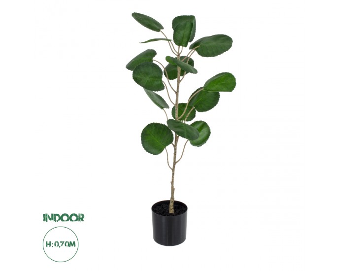 GloboStar® Artificial Garden POLYSCIAS BALFOURIANA TREE 20373 Τεχνητό Διακοσμητικό Φυτό Πολυσκιά Υ70cm 