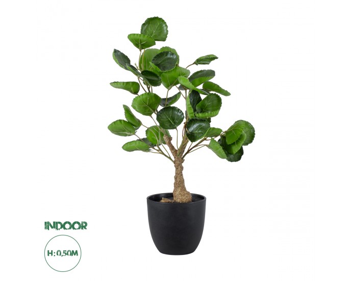 GloboStar® Artificial Garden POLYSCIAS SCUTELLARIA TREE 20424 Τεχνητό Διακοσμητικό Φυτό Πολυσκιά Υ50cm 