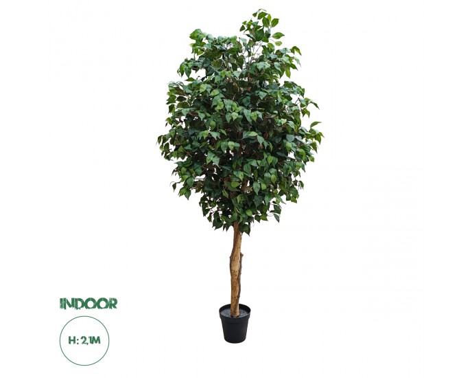 GloboStar® Artificial Garden FICUS BENJAMINA TREE 20431 Τεχνητό Διακοσμητικό Φυτό Φίκος Μπενζαμίνη Υ210cm 