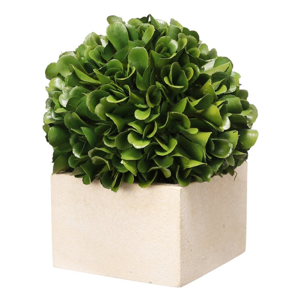 Artekko Boxwood Τεχνητός Πύξος σε Γλαστράκι Πλαστικό Πράσινο (11.4x11.4x14)cm