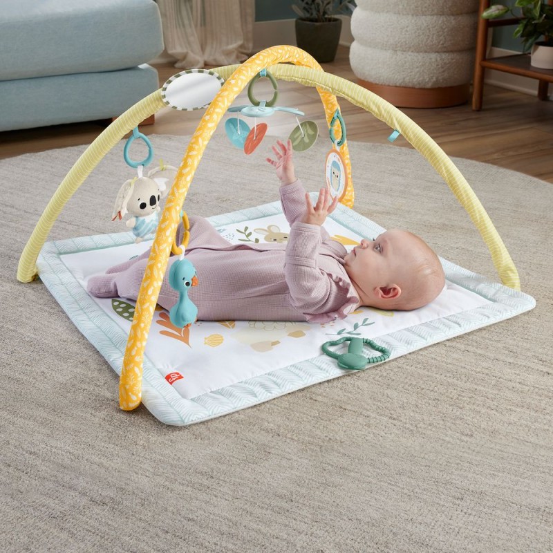 Fisher-Price® Simply Senses Newborn Gym (HRB15)