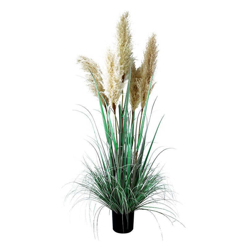 ΔΙΑΚΟΣΜΗΤΙΚΟ ΦΥΤΟ PAMPAS GRASS ΣΕ ΓΛΑΣΤΡΑ Fylliana 9570 ΠΡΑΣΙΝΟ-ΜΠΕΖ ΧΡΩΜΑ 50x50x138εκ