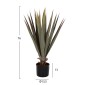 ΔΙΑΚΟΣΜΗΤΙΚΟ ΣΥΝΘΕΤΙΚΟ ΦΥΤΟ HM7985 SISAL AGAVE ΣΕ ΓΛΑΣΤΡΑ  Φ13,5x13-76Υεκ.