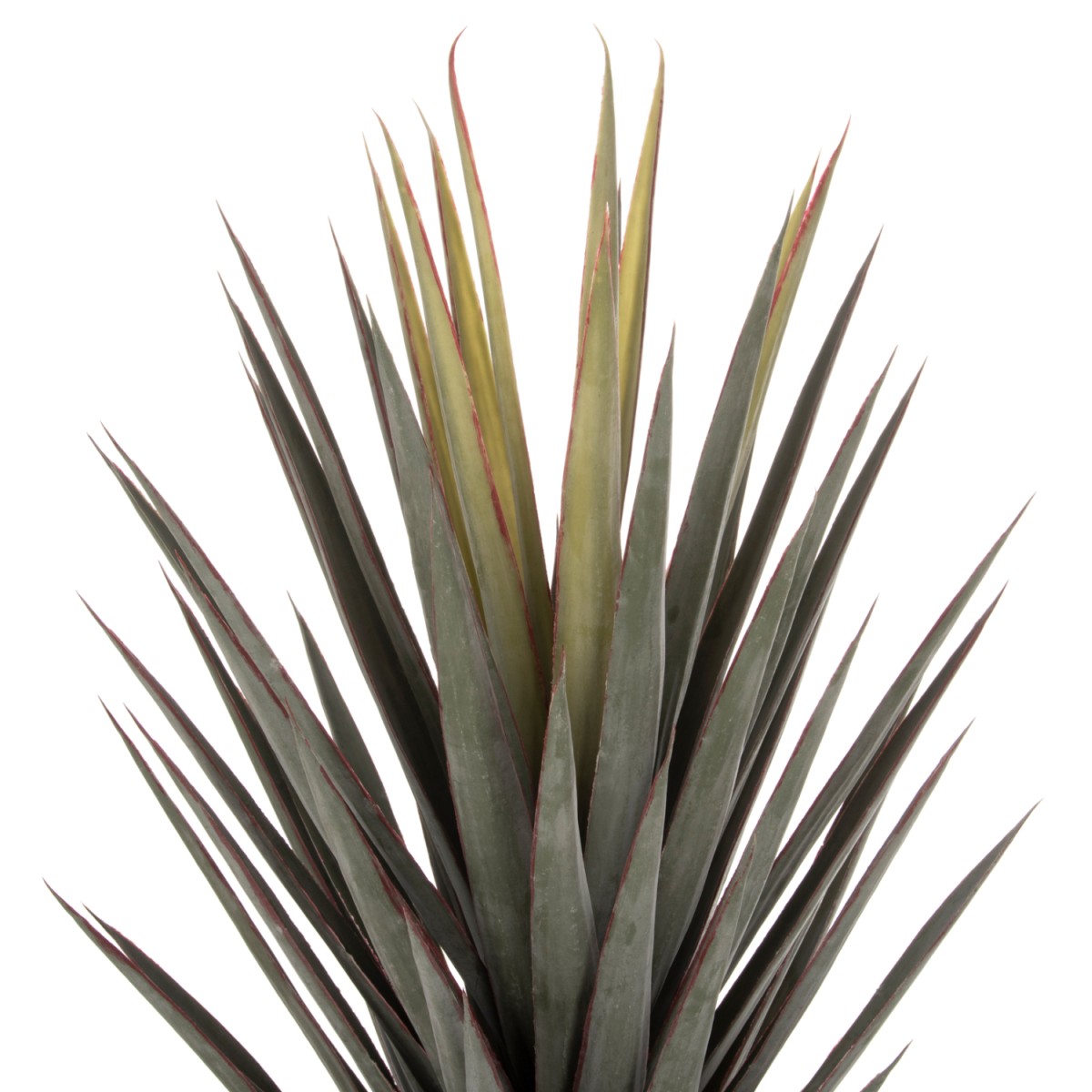 ΔΙΑΚΟΣΜΗΤΙΚΟ ΣΥΝΘΕΤΙΚΟ ΦΥΤΟ HM7987 SISAL AGAVE ΣΕ ΓΛΑΣΤΡΑ 120Υεκ.