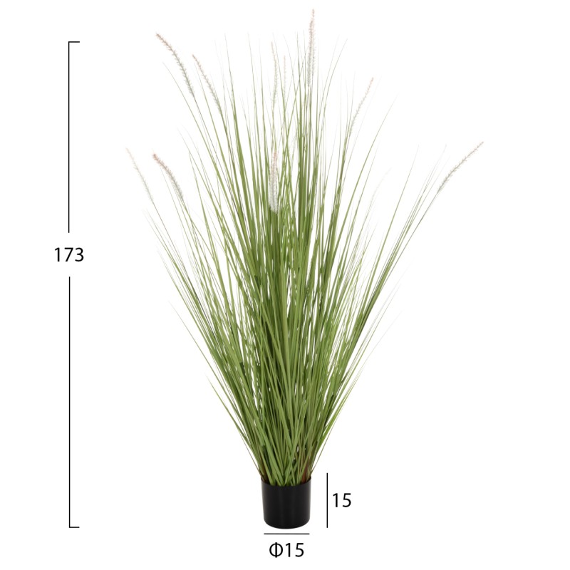 ΔΙΑΚΟΣΜΗΤΙΚΟ ΣΥΝΘΕΤΙΚΟ ΦΥΤΟ HM4017 BRISTLEGRASS ΣΕ ΓΛΑΣΤΡΑ 173Υεκ.