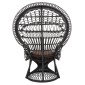 ΠΟΛΥΘΡΟΝΑ ROYAL PEACOCK HM9342.03 RATTAN ΜΑΥΡΟ-ΜΑΞΙΛΑΡΙ ΚΑΦΕ 114x72x150Yεκ.